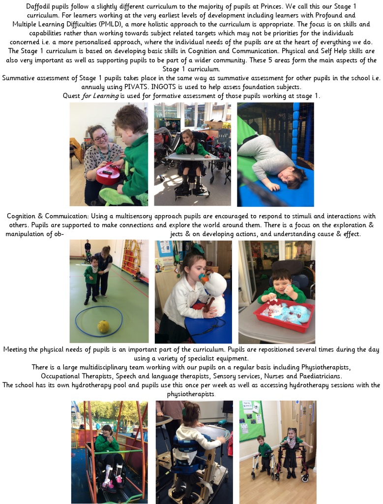 daffodil1-princes-primary-school